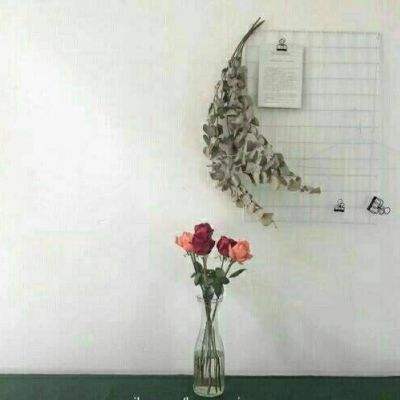 海魂变态版下载