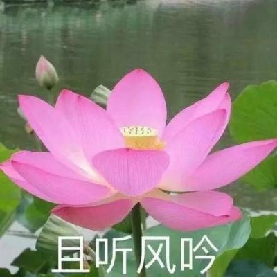 神器传说正版手游下载